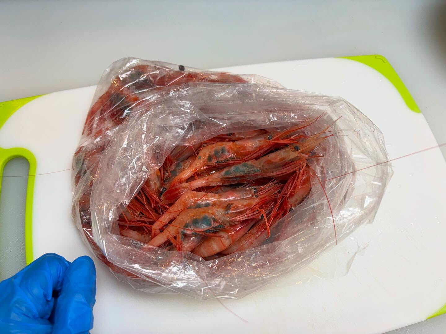 甘エビもいい感じ🦐